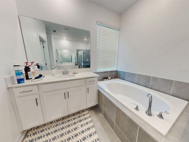 6084 CLAYSTONE WAY, Mount Dora, FL 32757