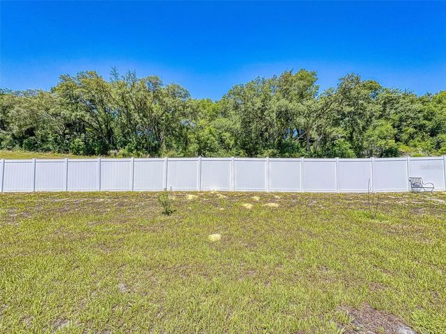 6084 CLAYSTONE WAY, Mount Dora, FL 32757