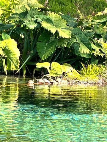 19573 SW 84TH PL, Dunnellon, FL 34432