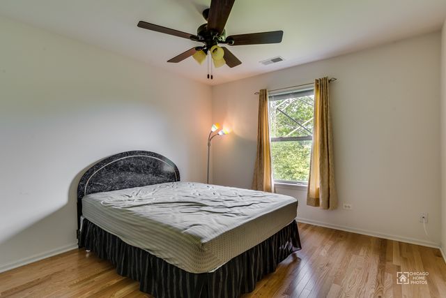 346 Lucille Lane 346, Schaumburg, IL 60193