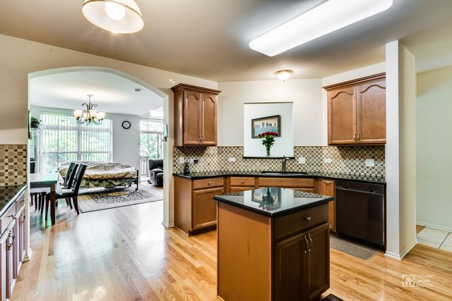 346 Lucille Lane 346, Schaumburg, IL 60193