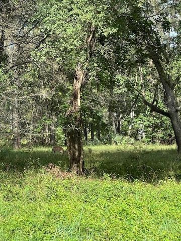 TBD Walker Dr, Cleveland, TX 77327