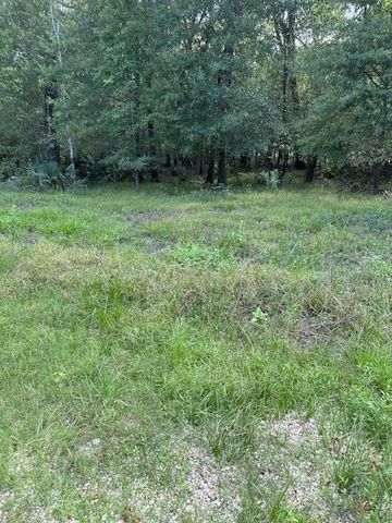 TBD Walker Dr, Cleveland, TX 77327