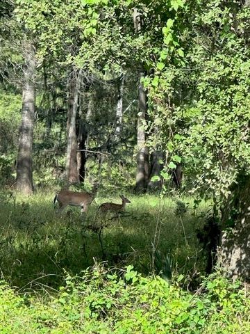 TBD Walker Dr, Cleveland, TX 77327