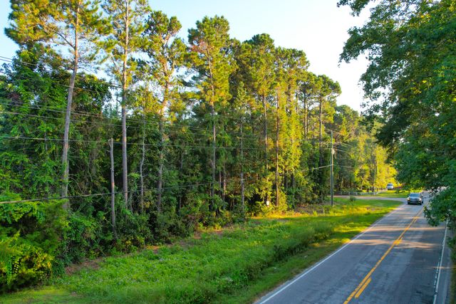 0 Rifle Range Road (Lot 1 & 2), Mount Pleasant, SC 29464