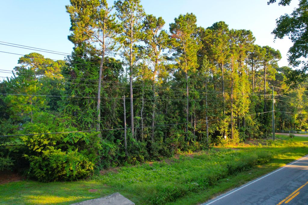 0 Rifle Range Road (Lot 1 & 2), Mount Pleasant, SC 29464