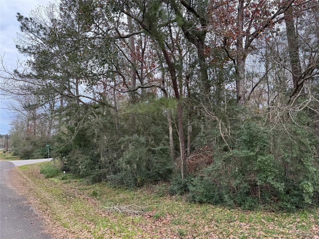 Lot 27-30 Dove Island, Livingston, TX 77351