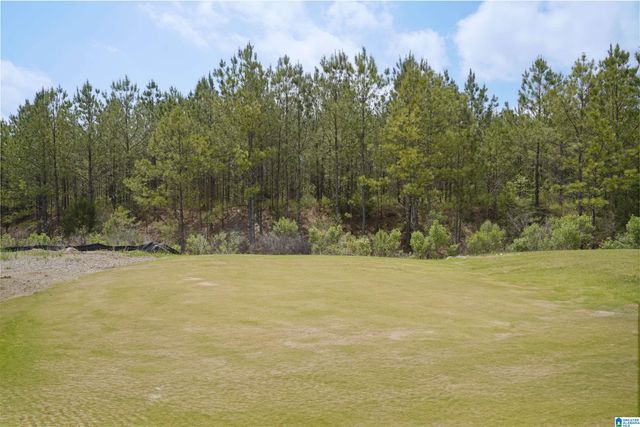 0000148 SHILOH CREEK DRIVE, Calera, AL 35040