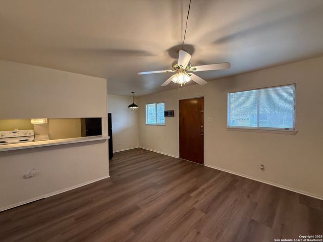 163 Richter, New Braunfels, TX 78130