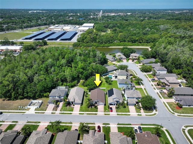 219 BAY ARBOR BOULEVARD, Oldsmar, FL 34677