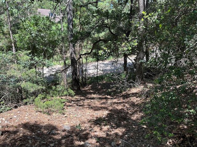 111 Molokini DR, Bastrop, TX 78602