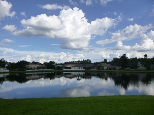 19146 CYPRESS GREEN DRIVE, Lutz, FL 33558