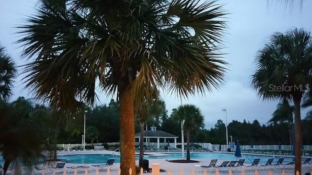 19146 CYPRESS GREEN DRIVE, Lutz, FL 33558