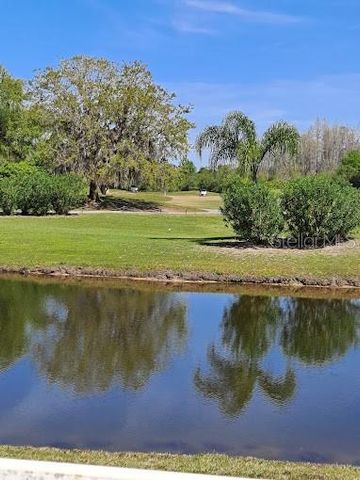 19146 CYPRESS GREEN DRIVE, Lutz, FL 33558