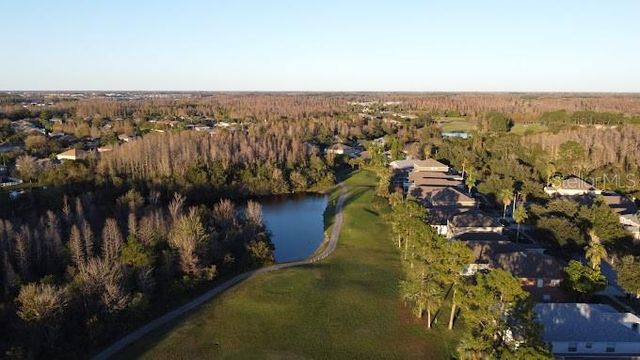19146 CYPRESS GREEN DRIVE, Lutz, FL 33558