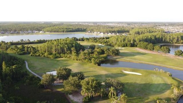 19146 CYPRESS GREEN DRIVE, Lutz, FL 33558