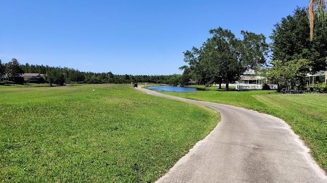 19146 CYPRESS GREEN DRIVE, Lutz, FL 33558