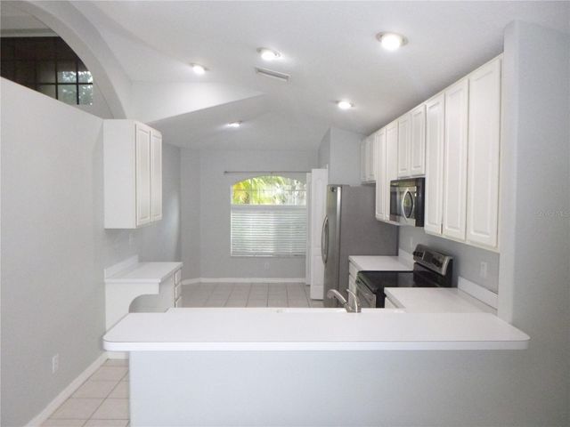 19146 CYPRESS GREEN DRIVE, Lutz, FL 33558