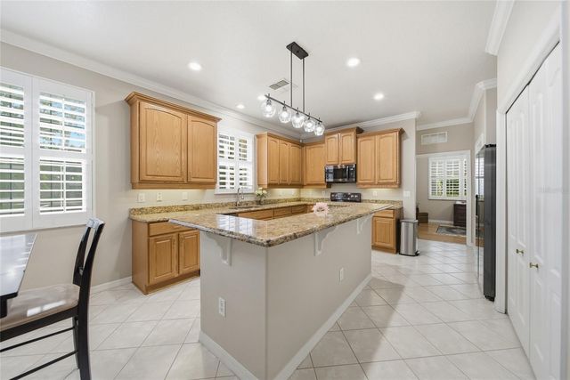 21115 PRESERVATION DRIVE, Land O Lakes, FL 34638