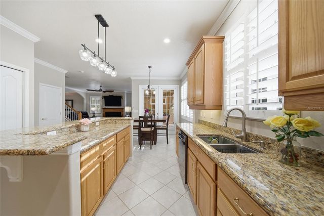 21115 PRESERVATION DRIVE, Land O Lakes, FL 34638