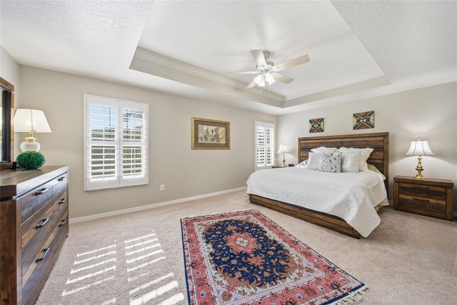 21115 PRESERVATION DRIVE, Land O Lakes, FL 34638