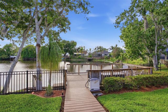 21115 PRESERVATION DRIVE, Land O Lakes, FL 34638