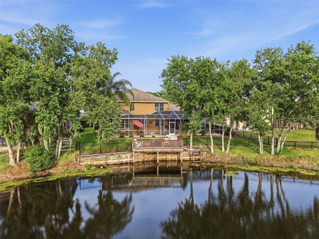 21115 PRESERVATION DRIVE, Land O Lakes, FL 34638