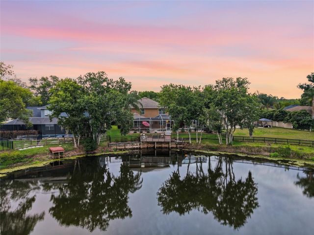 21115 PRESERVATION DRIVE, Land O Lakes, FL 34638