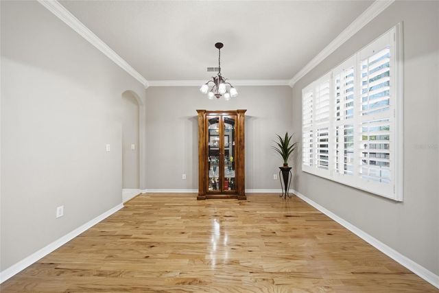21115 PRESERVATION DRIVE, Land O Lakes, FL 34638
