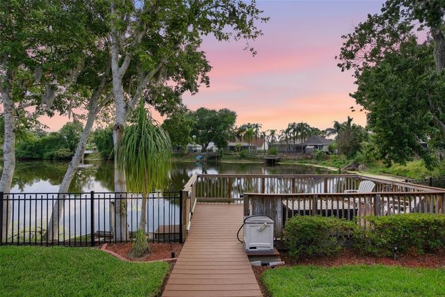 21115 PRESERVATION DRIVE, Land O Lakes, FL 34638