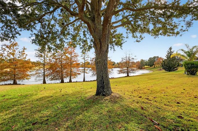 2403 ST GEORGE AVENUE, The Villages, FL 32162