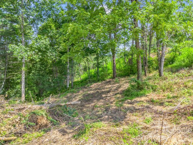 50 Erin Glen Court, Fairview, NC 28730