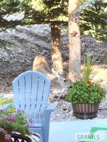 6644 S Ensenada Circle, Idaho Falls, ID 83406