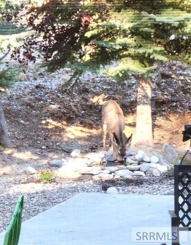 6644 S Ensenada Circle, Idaho Falls, ID 83406