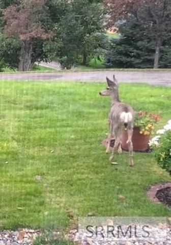 6644 S Ensenada Circle, Idaho Falls, ID 83406