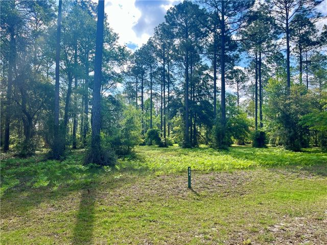 Lot 504 MARSH HEN Road NE, Townsend, GA 31331