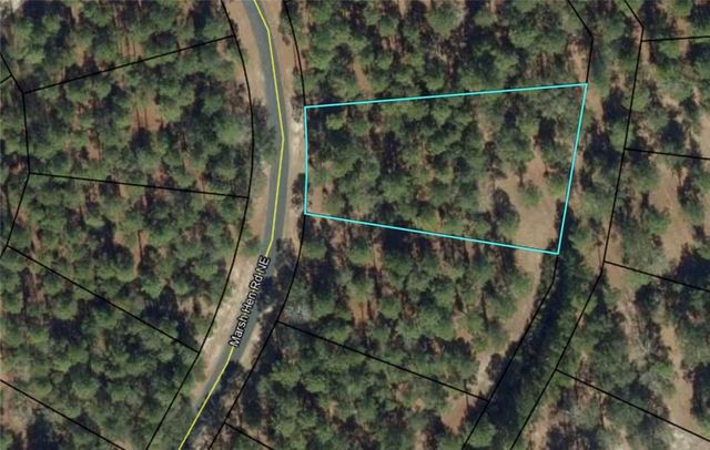 Lot 504 MARSH HEN Road NE, Townsend, GA 31331