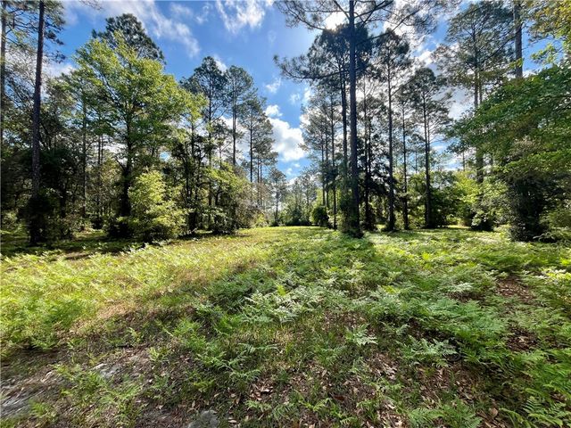 Lot 504 MARSH HEN Road NE, Townsend, GA 31331