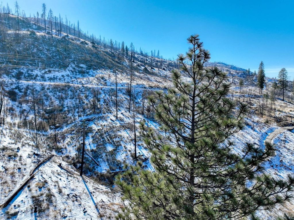 Image 27 of property listing at 51823 Camp Sierra Street, Shaver Lake, CA 93664