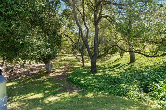 6526 Lada Avenue, Camarillo, CA 93012