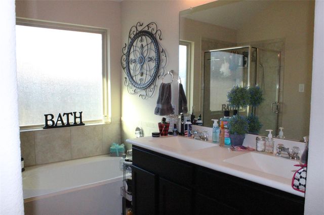 3731 Alexander Arbor Drive, Katy, TX 77449
