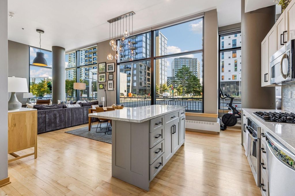 215 10th Avenue S 102, Minneapolis, MN 55415 — photo 5