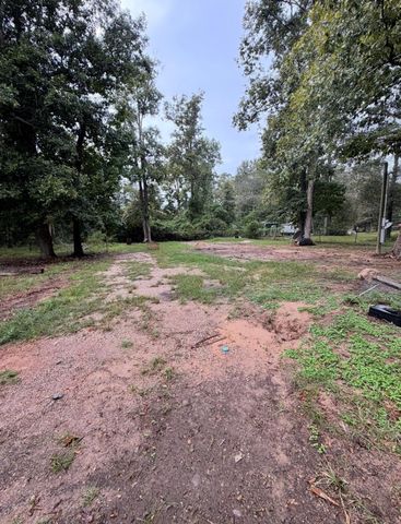 71 Pine Lane, Shepherd, TX 77371