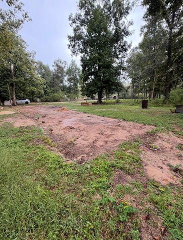 71 Pine Lane, Shepherd, TX 77371