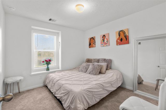 12442 Seybold Cove Drive, Houston, TX 77044