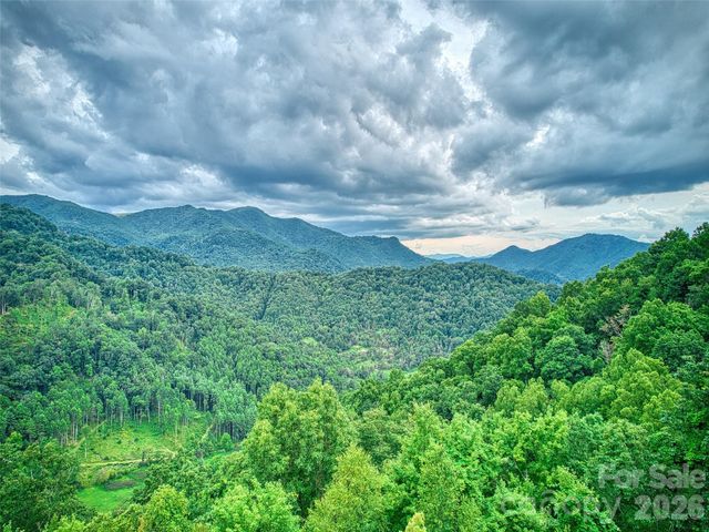 171 Jade Drive, Clyde, NC 28721