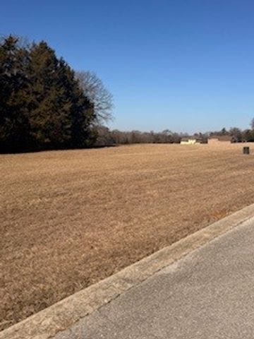 TBD Dublin Circle, Gordonville, TX 76245