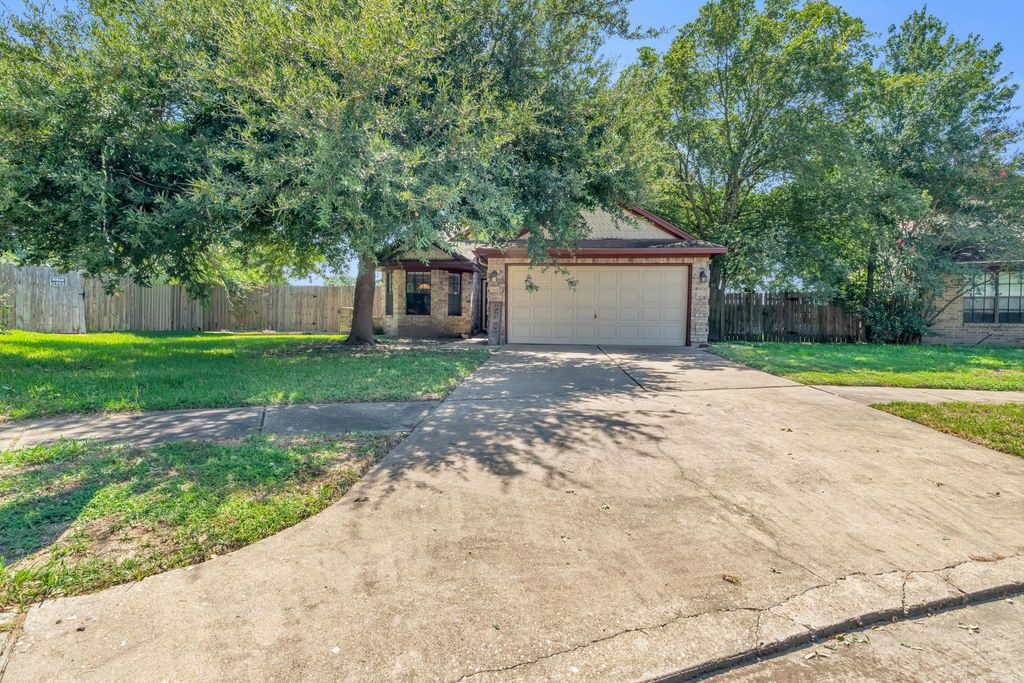 20507 Blue Beech Drive, Katy, TX 77449