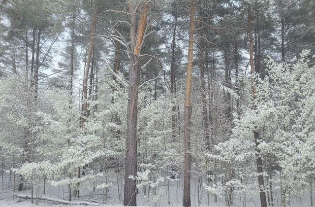 A Garfield Road, Paradise Twp, MI 49649