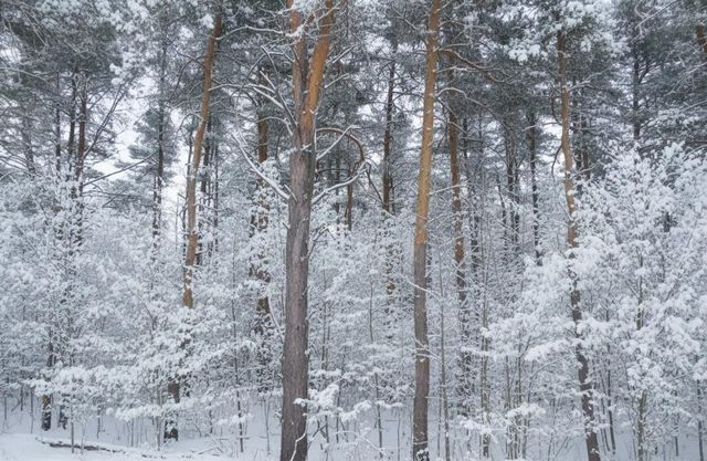 A Garfield Road, Paradise Twp, MI 49649